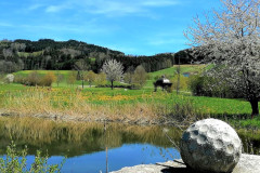 04-GC-St.-Oswald_Tee-16-Teich
