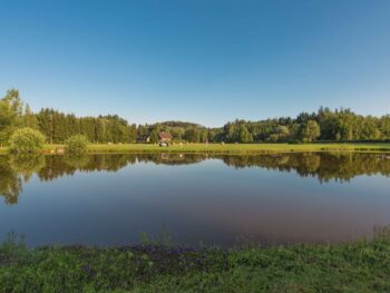 {{brizy_dc_image_alt entityId=